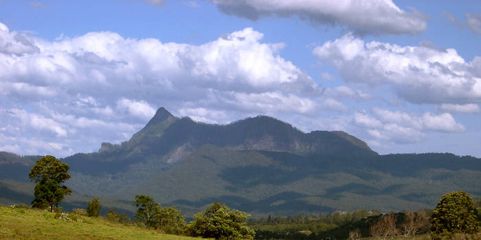 Mt Warning