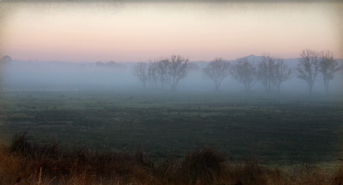 Misty morning at Kempsey