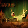 Circus unexpected