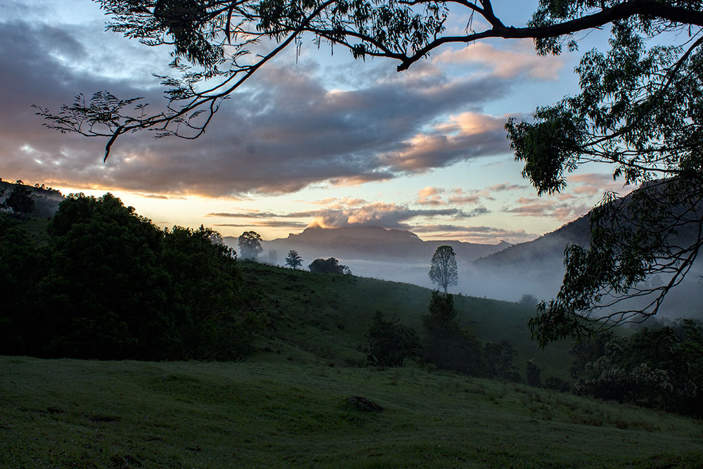 Early morning - Mt Warning, NSW, Australia