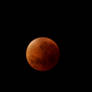 Bloodmoon