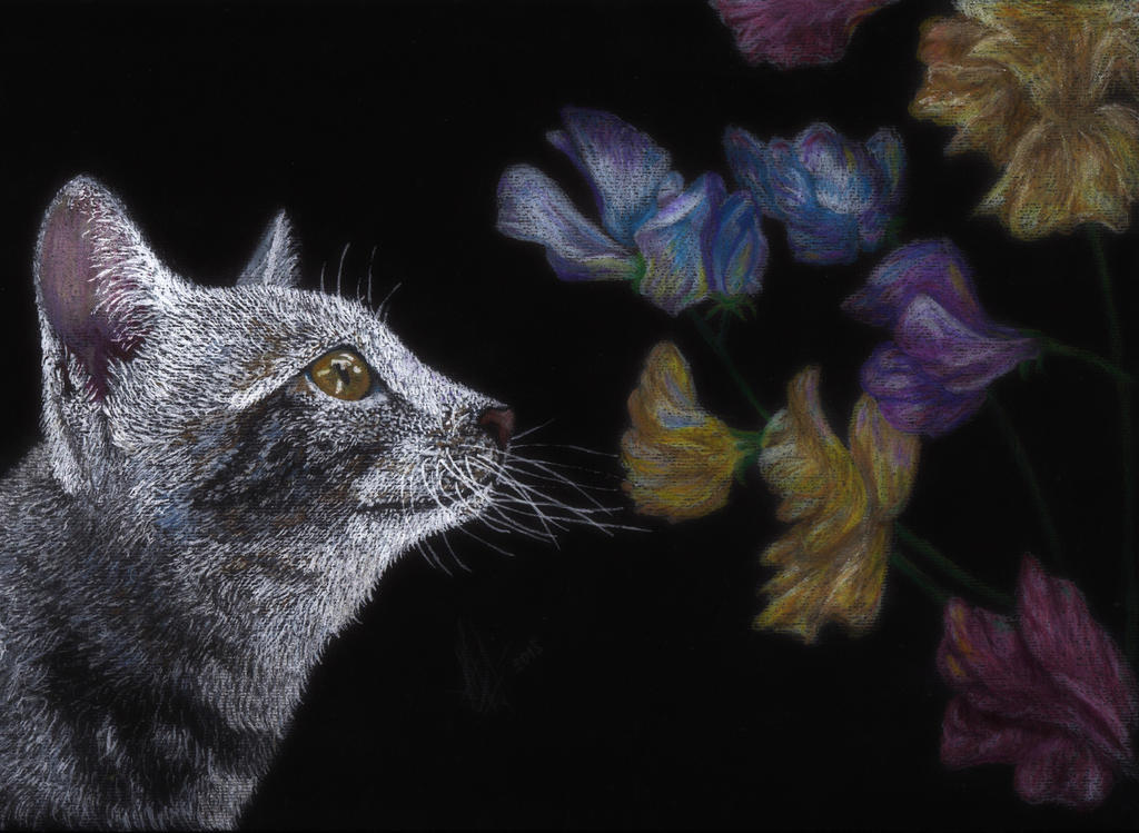 Cat With Flowers