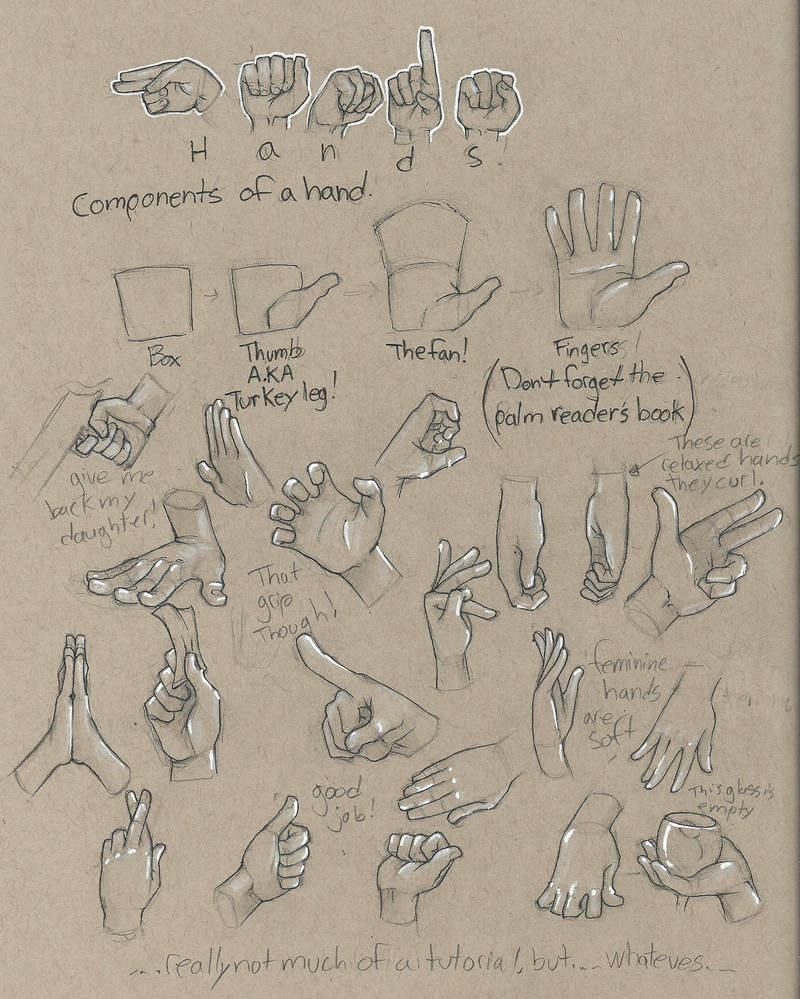 Deconstructing Hands Tutorial Hands by devpose on DeviantArt