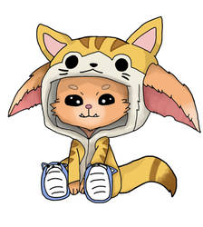 Cat Onesie Gnar