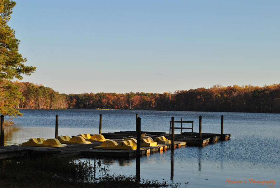 Newport News Park