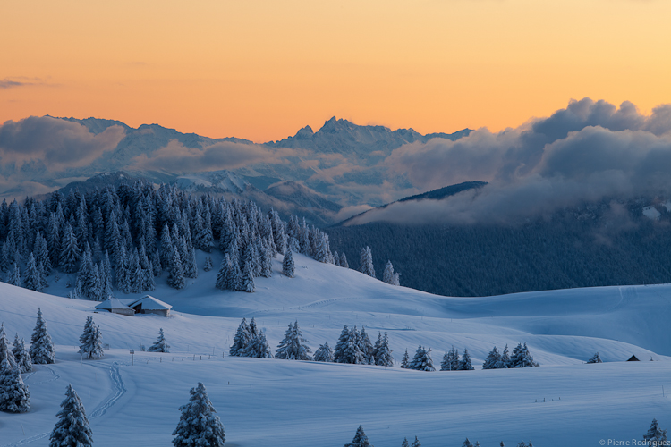 Entre deux chutes de neige