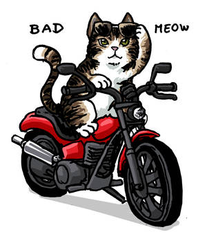 Bad Meow