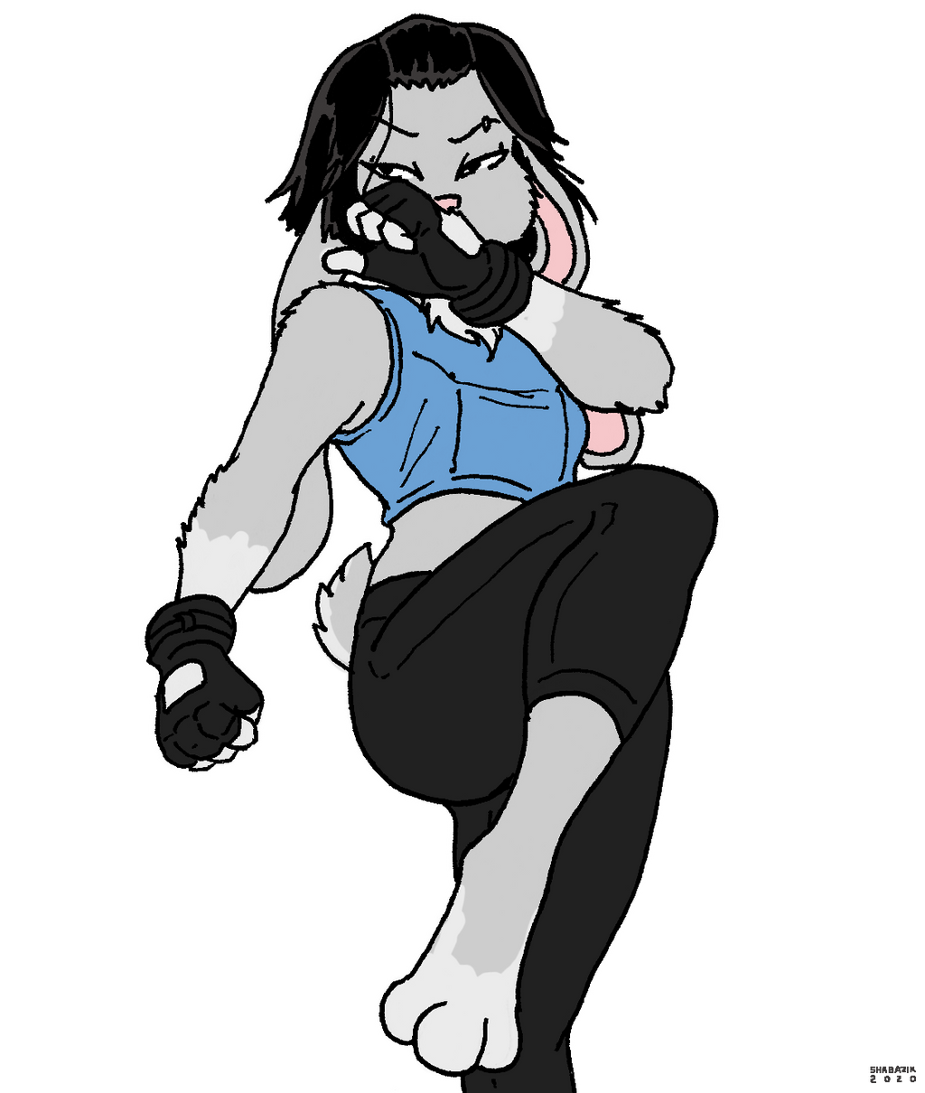 Deviantart Rabbit Kick Kickboxing Bunny by Shabazik on DeviantArt