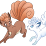 Vulpix vulpex