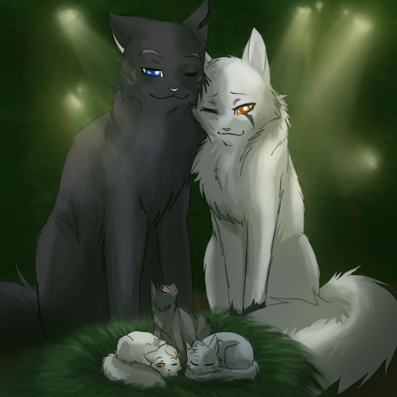 Warrior Cat Clan by leadmare56 on DeviantArt