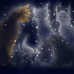 Welcome Bluestar