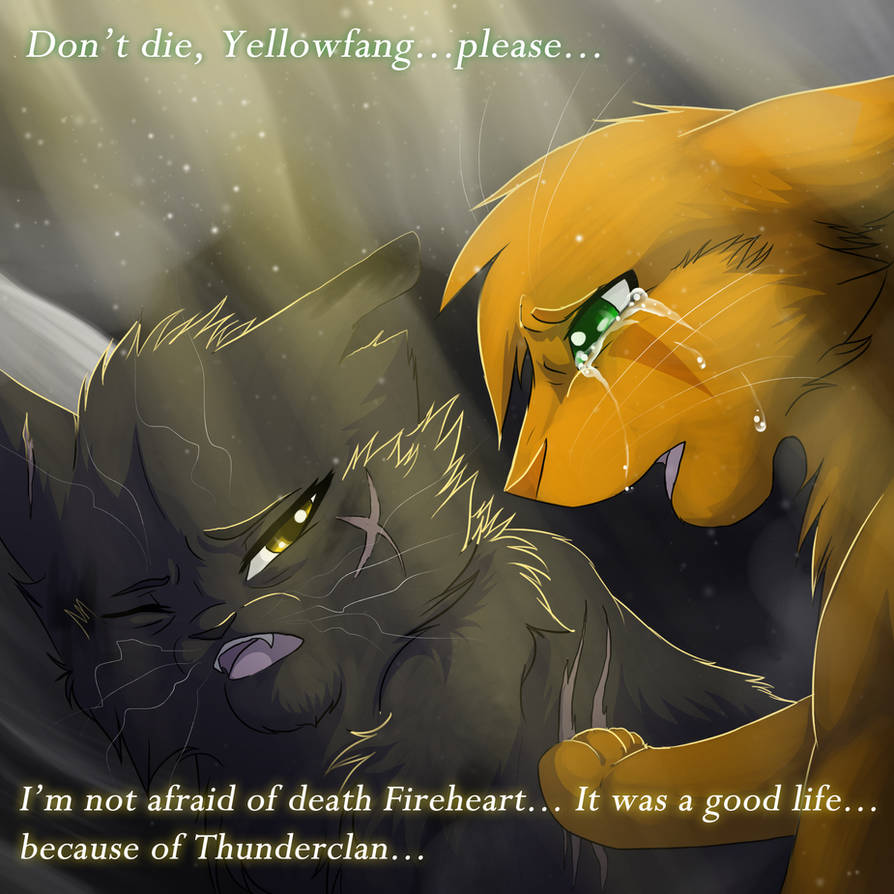 wallpapers Yellowfang Death Scene death by riverspirit456 on deviantart