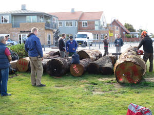 International Woodsculpture Symposium - Denmark