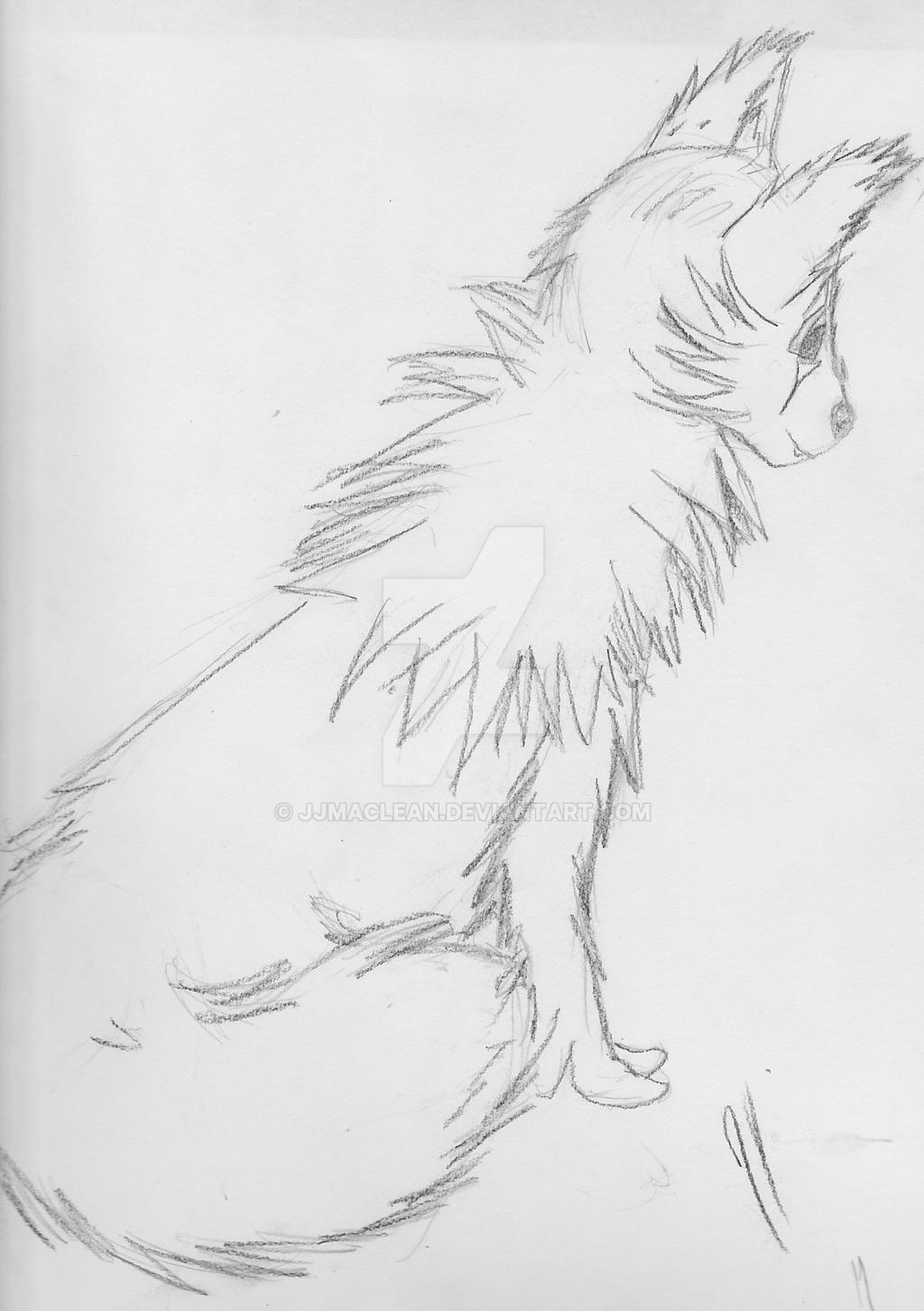 Animal Sketch