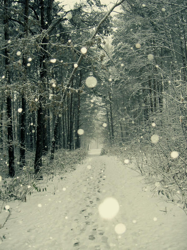 Premade background - Winter