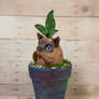 Cat Mandrake