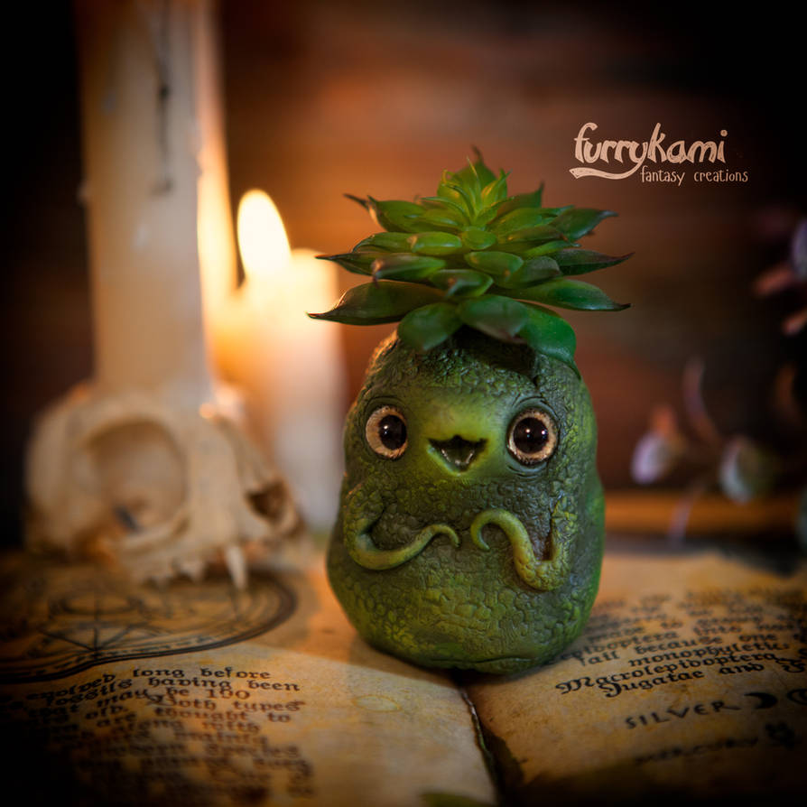 Baby succulent by Furrykami-creatures Baby succulent by Furrykami-creatures