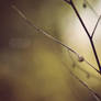 Img01849 CD