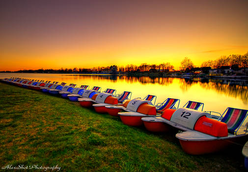 The Boats Paddock