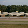 'Hog 23' flight lined up.