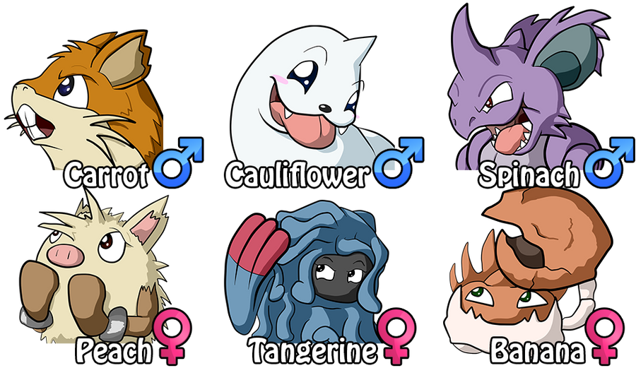 Marriland's HeartGold Wedlocke - The Johto Team by Marriland