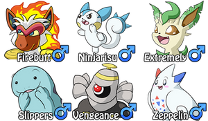 Marriland's Platinum Nuzlocke - The Final Team