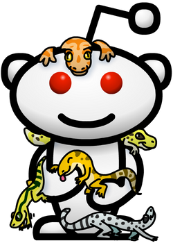 Gecko Infested Snoo