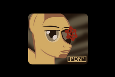 Pony Corporation 2