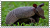 Armadillo stamp