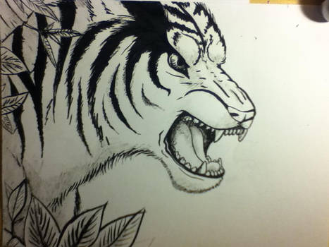 tiger painting 1 stage 2