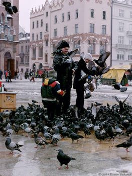 love of pigeons