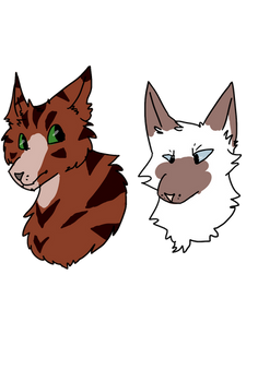 Maplepaw and Snowstar