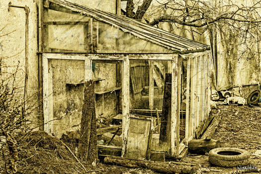 The small greenhouse