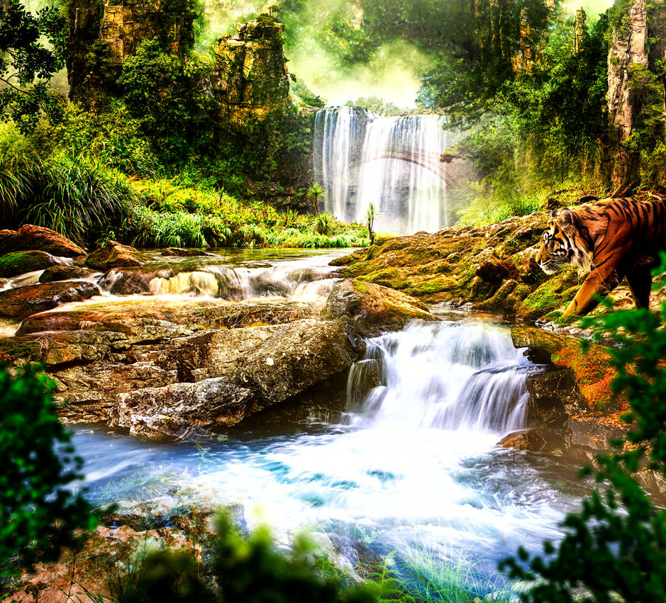 Paradisio by RealestDesigns on DeviantArt