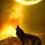 Howling To The Moon