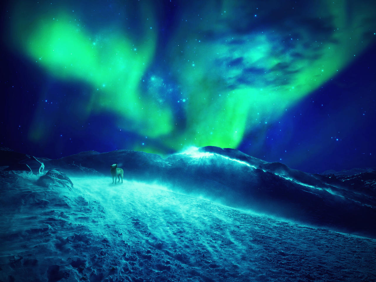 Northern Lights