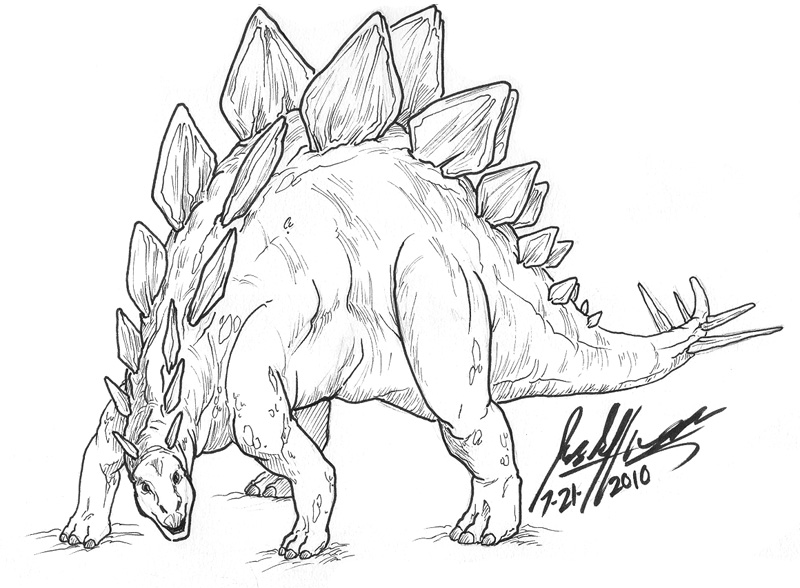 Stegosaurus