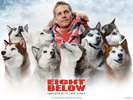 PAUL WALKER FROM EIGHT BELOW