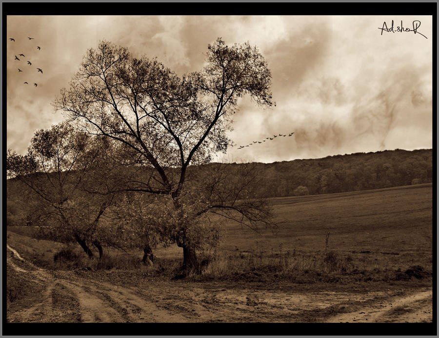 cloudy autumn