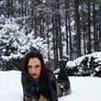 Snow Widow