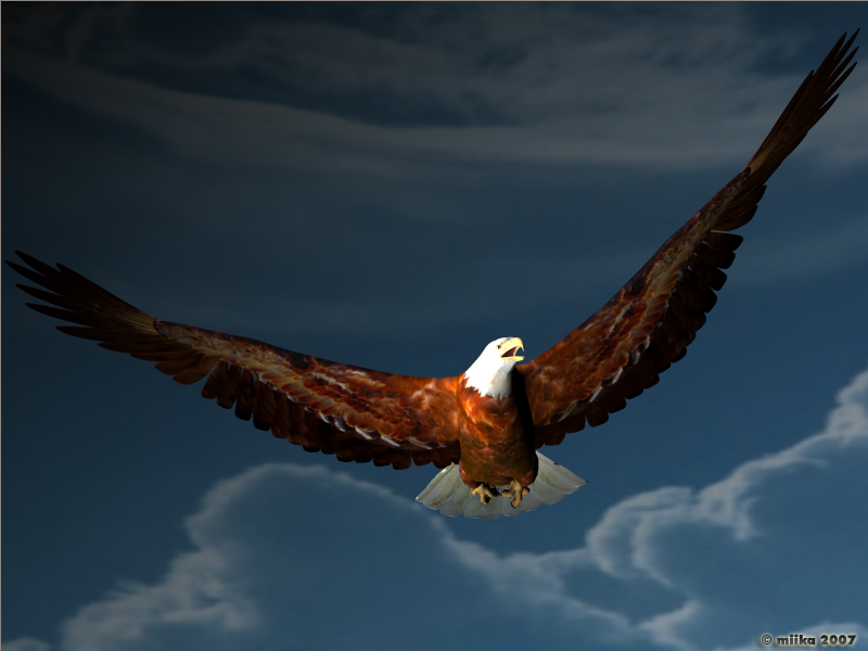 Eagle Soar