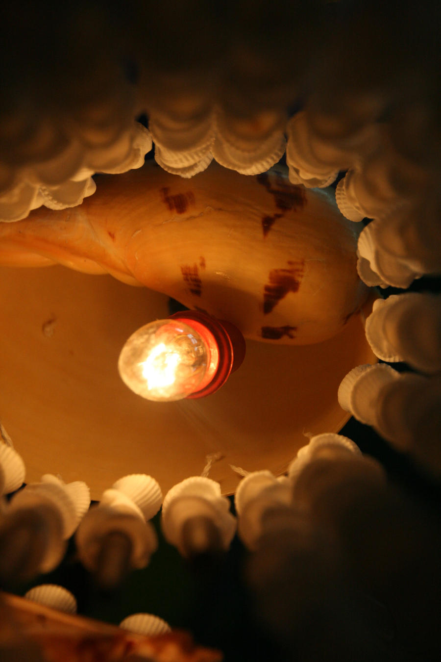 Under the Shells Lamp 4