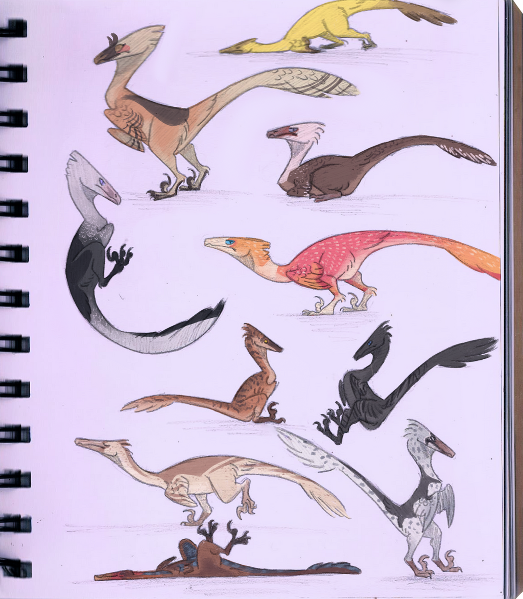 Rushing Raptos Raptoos by Yennven on DeviantArt