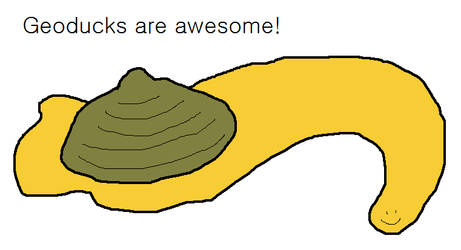 Geoducks are awesome