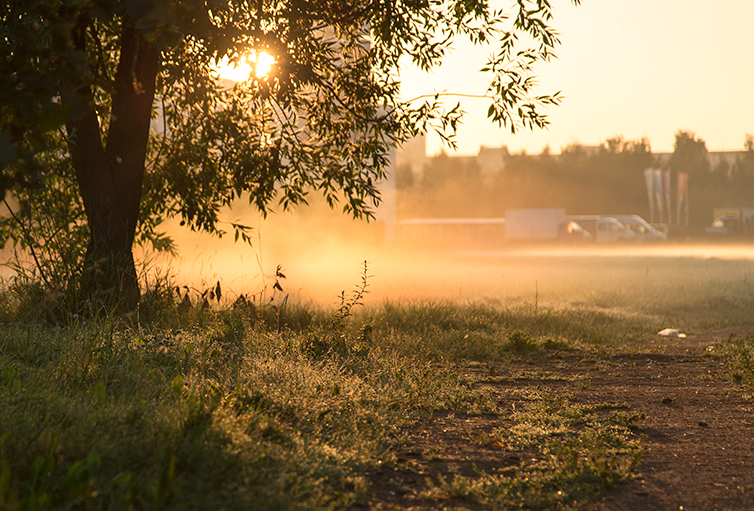 Morning Light >> Morning Light Test By Number14 On Deviantart Morning Light >> Morning Light Test By Number14 On Deviantart