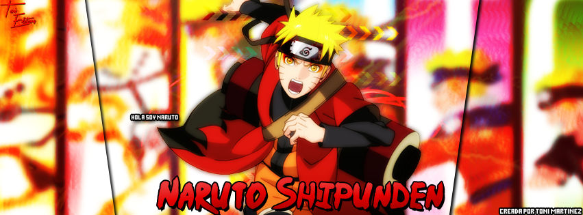 Naruto Shipunden Vostfr Ep 317