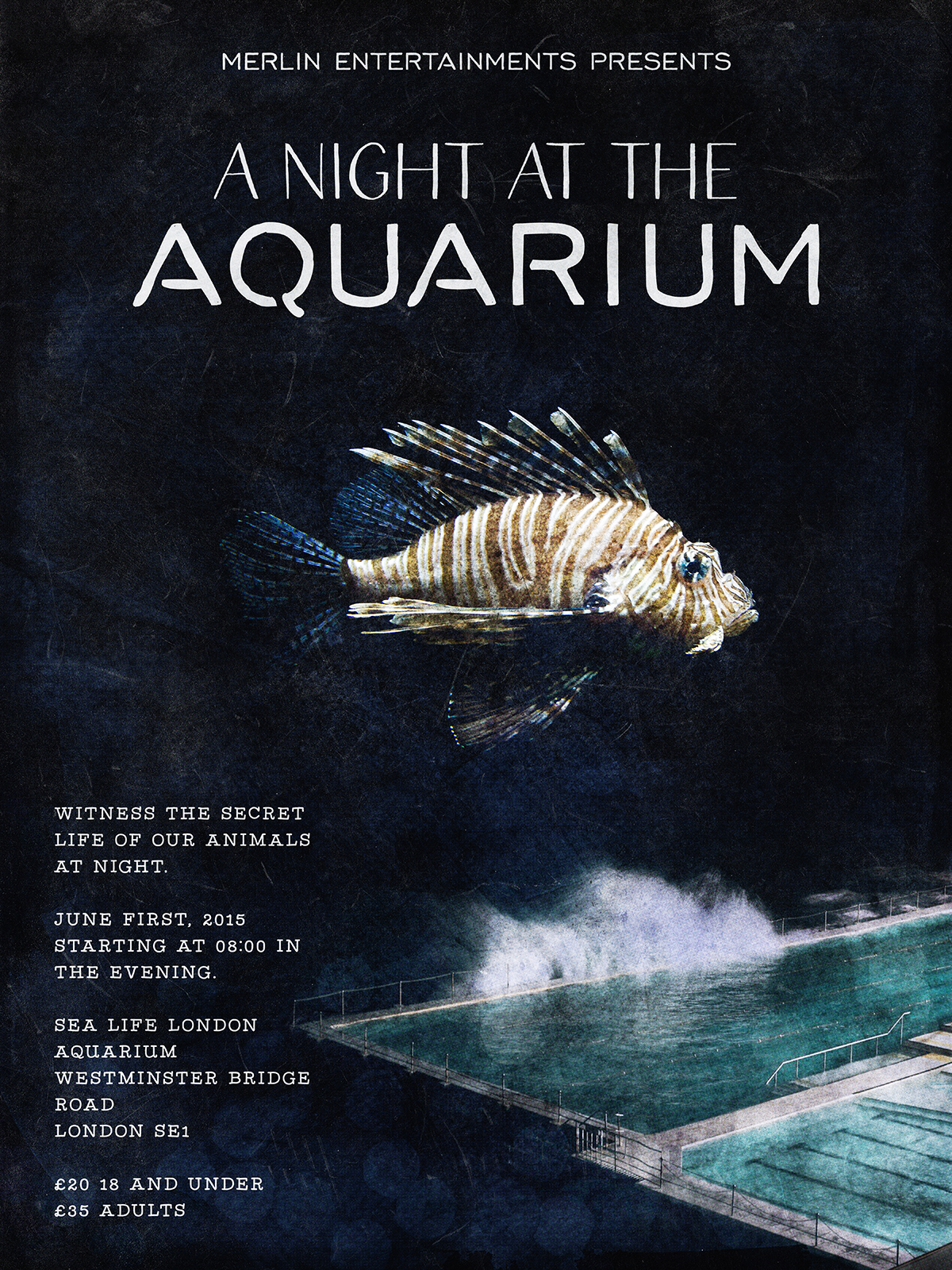 A night at the aquarium