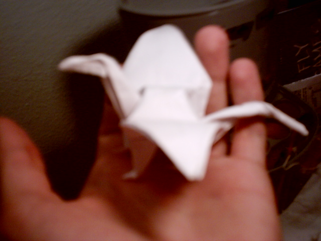 Another paper dragon