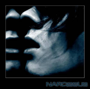 Narcissus