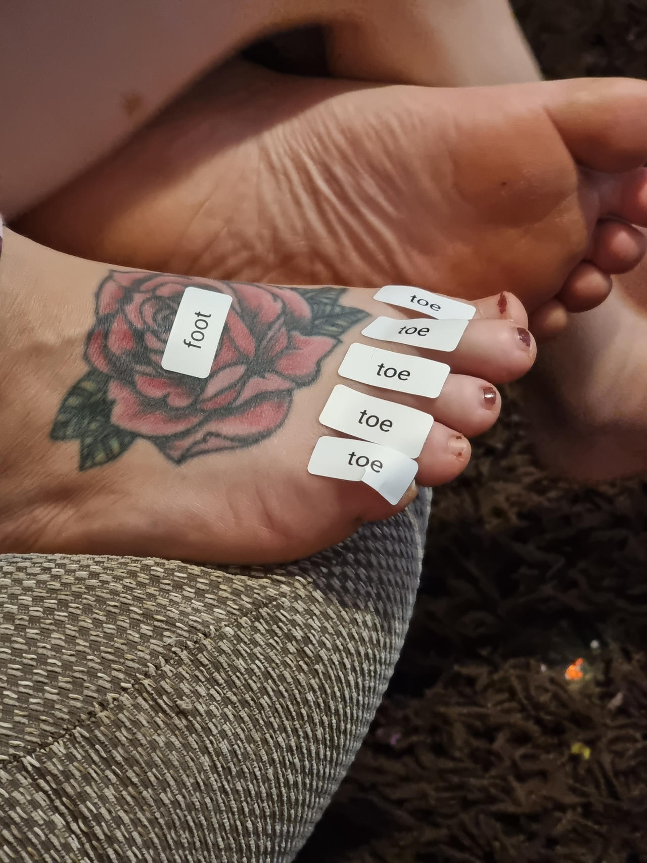 Deviantart Counting Toes Labeled toes by mikewatts1991 on DeviantArt